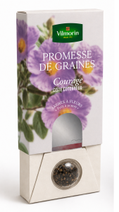 Ciste Cotonneux - Courage